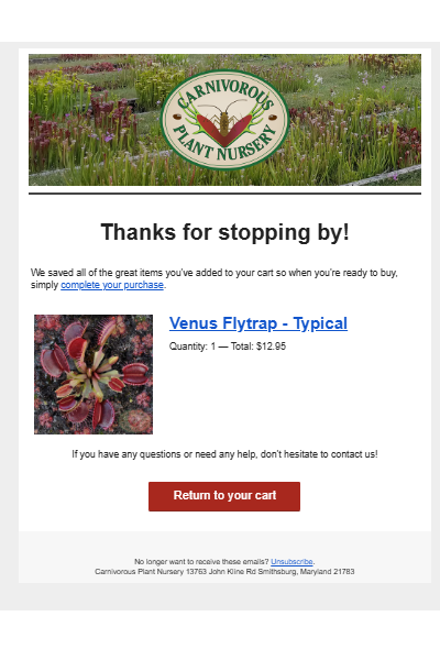 Email 2