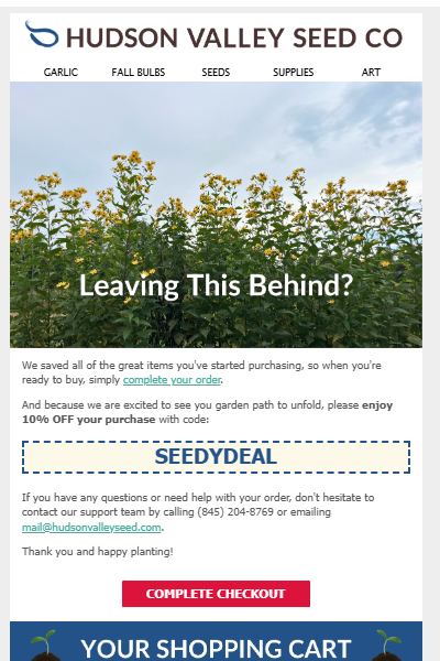 Email 2